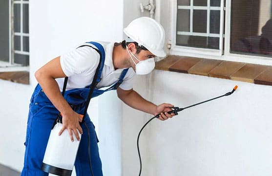 Mobile Roofing Image